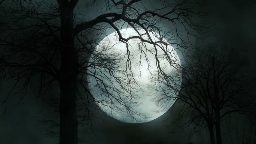 Full Moon Night Mystic Night Stock Footage Video 100 Royalty Free 6694583 Shutterstock