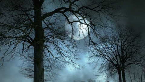 moon moonshine. moon night sky. mystic spooky scary. tree trees silhouette shadow. nature background