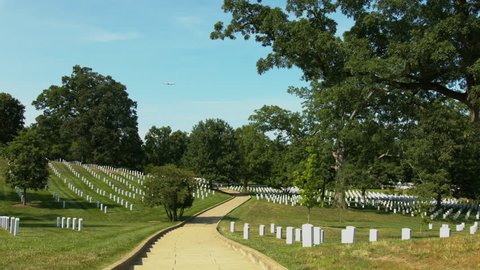 A Path Through Arlington Cemetery
