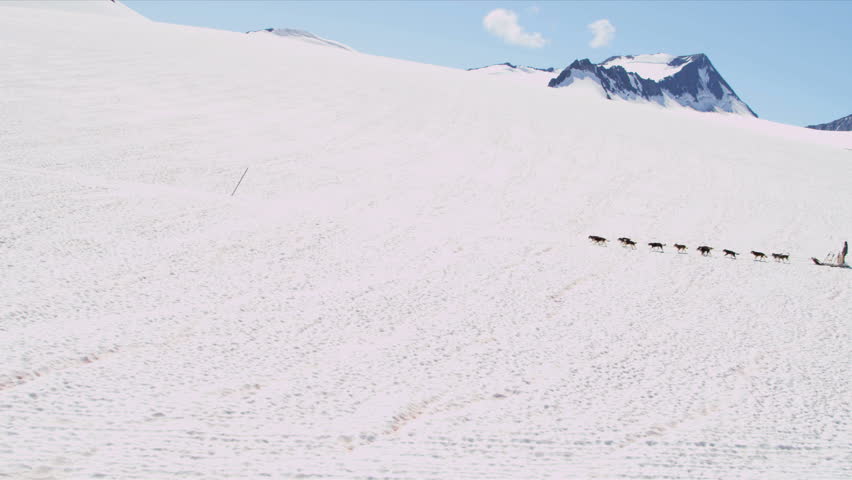 Aerial view dogsledding, Alaska - Aerial view male driving husky dogsledding team across wilderness area South central Alaska, USA, RED EPIC