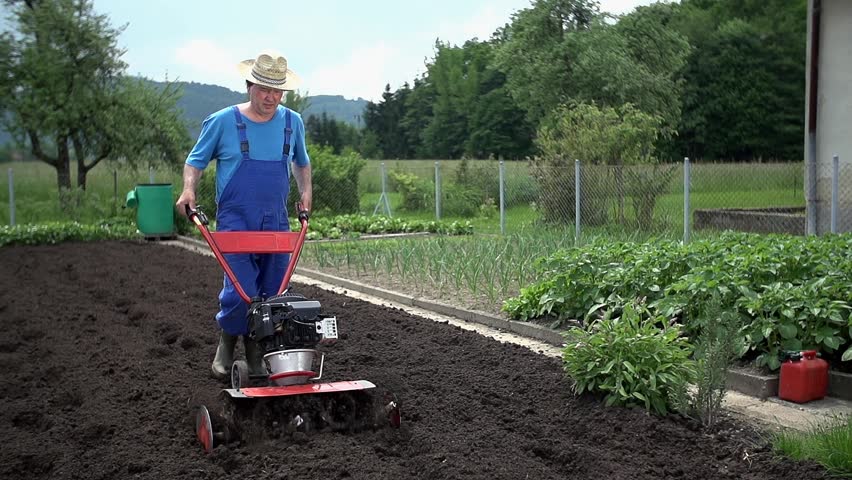 Farmer with a big hat plows the field with the cultivator