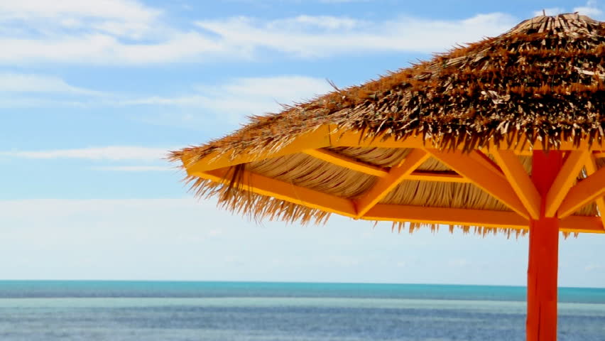 A beach umbrella on the shore.