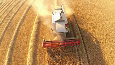 aerial video footage of a combine harvester on a grainfield in germany
