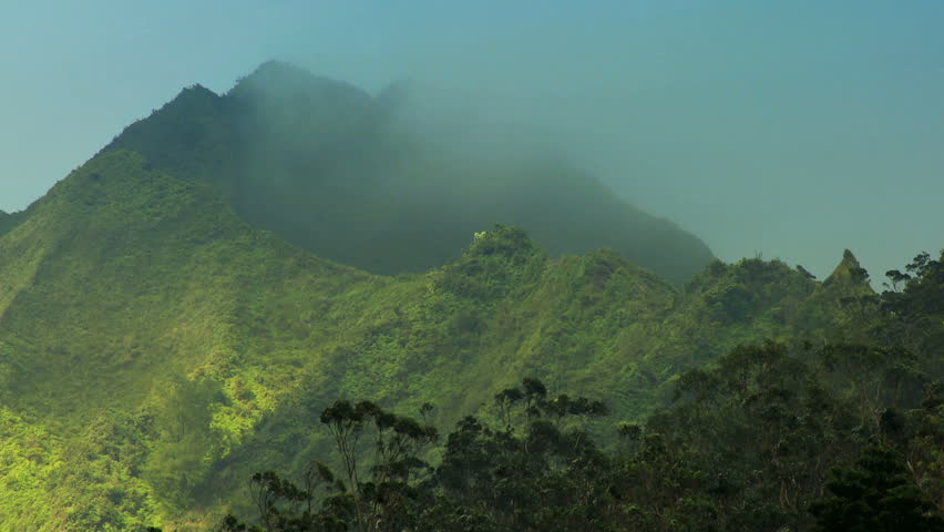 Low cloud blowing over lush rainforest vegetation on Na Pali cliffs, Hawaii