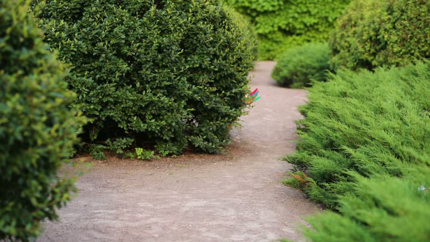 Two boys and two girls with red man feathers get out of bushes in garden