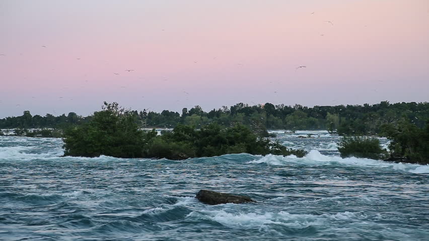 Birds fly over the Niagara River near the Horseshoe Falls as seen from Terrapin Point, Goat Island, United States