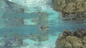 Beautiful woman snorkeling in clear blue waters over coral reef in Tahiti