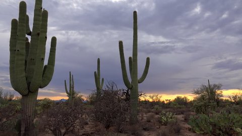 4K Time Lapse, Spectacular, fast moving storm clouds sweep across Tucson Arizona saguaro cactus desert landscape as yellow ball of sun sets, coloring sky beautiful blues, yellow, red. 4K UHD 3840x2160