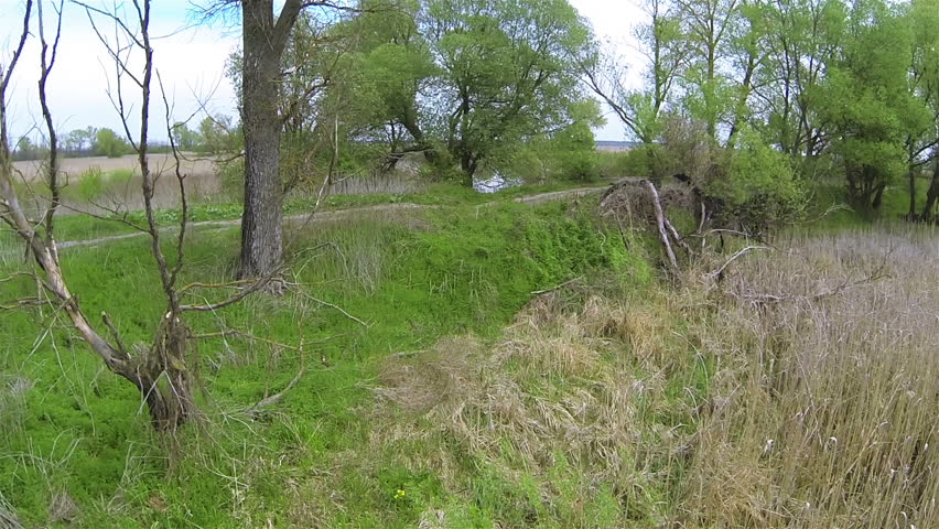 Up over  river and trees. Landscape. Aerial panorama fly