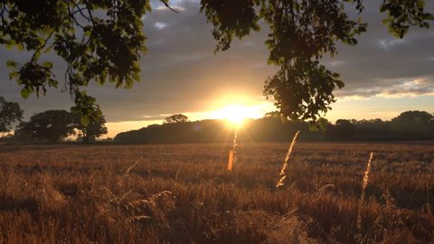 4k hd early morning sunrise landscape sun light over corn field  - generic natural background - Staffordshire, West Midlands, England July 2014