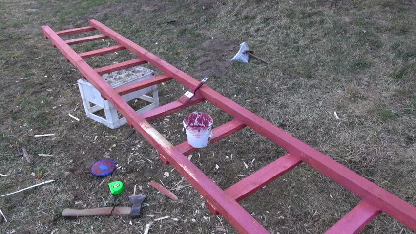 gardener in farm paint in red new wooden ladder