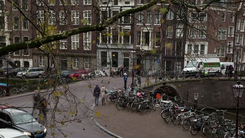 Amsterdam Historical Building Through A Tree Time Lapse 22