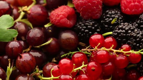 Mix of different berries, fresh berries close up rotation, seamlessly tiling. Different fresh berries as background. Fresh wild forest berries black and red colors