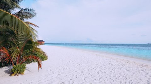 tropical white beach with palms and blue sea 库存视频