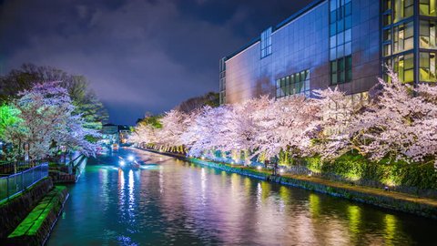 Kyoto, Japan on the Okazaki Canal during the spring cherry blossom season. Stockvideó