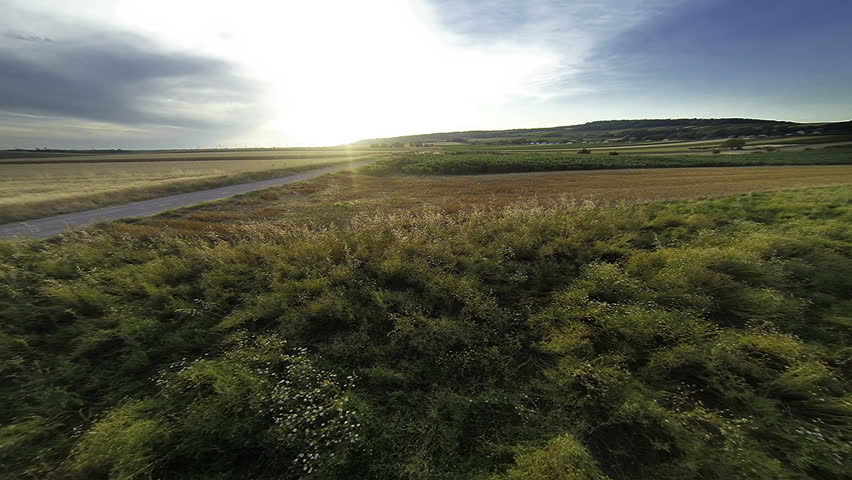 Aerial flight in sunset over meadow 