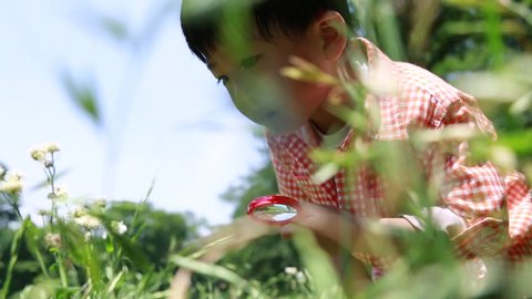 Japanese young boy playing with magnifying glass in a park, Tokyo, Japan Adlı Stok Video