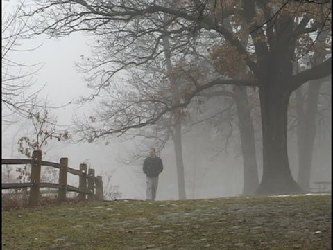 Walk in the Fog