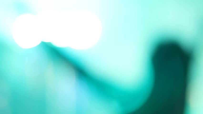 Christian woman hand raised at worship.