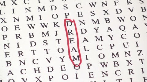 DREAM TEAM word search puzzle