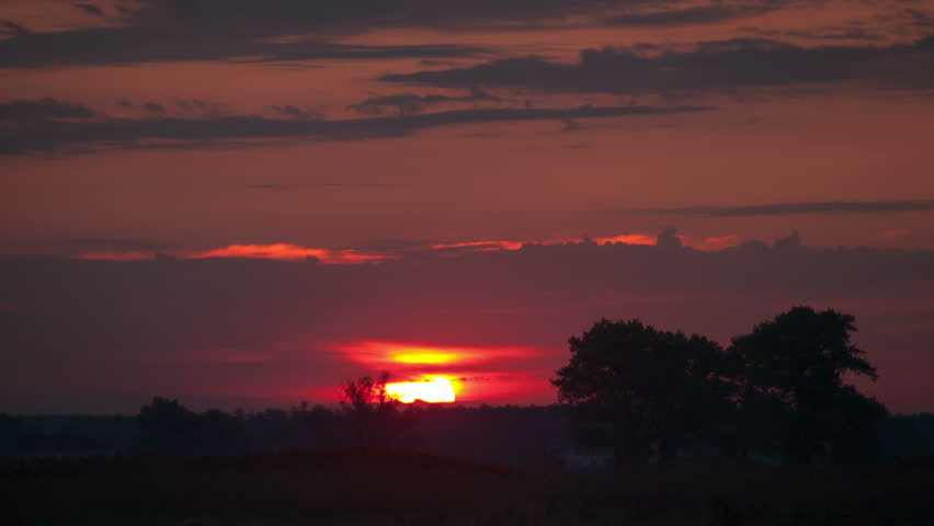  landscape with sunrise over Misty Swamp