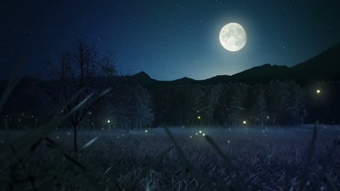 Fireflies Loop. Lightning bugs flying and glowing on a moonlit night. The grass and trees sway gently framed by a full moon, starry sky, and forest. Seamless loop.