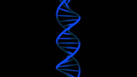 Blue DNA helix on black. First & last 5 seconds are loops. Useful for concepts related to genetic research, genetic modification, biotechnology etc. In 4K ultra HD and smaller sizes.