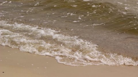 waves on the sand beach