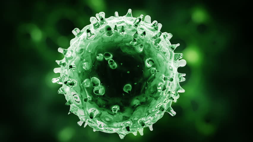 T cell or virus isolated in green