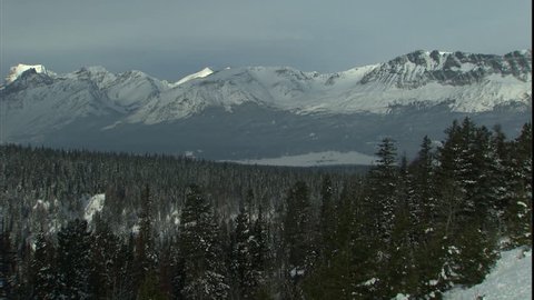 A large forest in the winter with mountains in the background