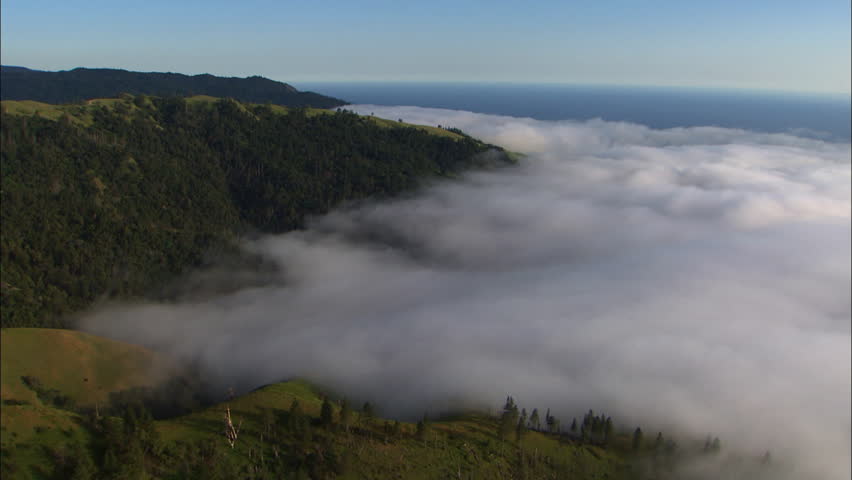 Aerial view of the cliffs of Big Sur in California covered in fog