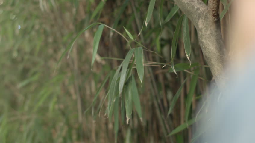 Cool Kids Sneak Around SIde Of Friends House, Blonde Girl Hushes Her Friend