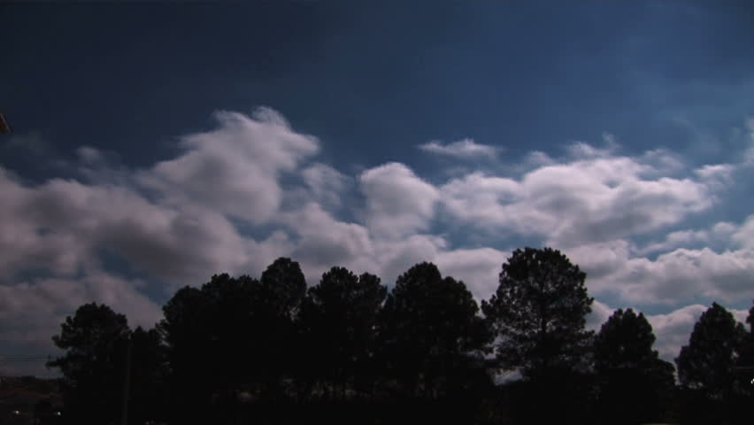 Timelapse rolling clouds. Forest.