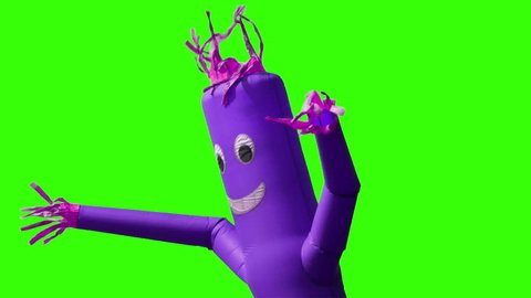 A looping green screen shot of a purple wacky waving inflatable arm flailing tube man.  Chroma key with optional luma matte.