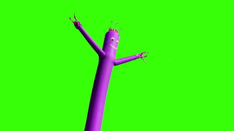 A green screen shot of a purple wacky waving inflatable arm flailing tube man.  Chroma key with optional luma matte.