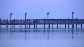 Video of a fishing pier in south Texas after sunset. Fisherman on pier. Fish jumping and heron bird flying across water.