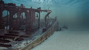 Underwater shipwreck loop animation. Ripple patterns move across a sunken ship on the sea floor. Sunlight shines through the ocean surface.