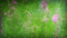 Animation of a dandelion growing and the seeds blowing away on the wind. Loop (or removable) section between 6:00-12:00. Green and pink version. Representing: wishing, birthday wishes, luck etc.