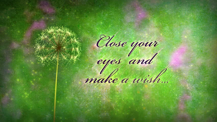 Close Your Eyes And Make Stock Footage Video 100 Royalty Free 6966007 Shutterstock
