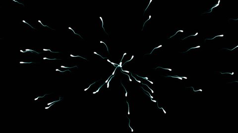 Sperm Generator w/ Alpha (24fps). Healthy and fast moving sperm being generated and swimming outward from the center of frame.