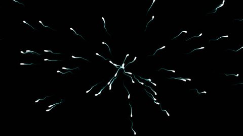 Sperm Generator w/ Alpha (60fps). Healthy and fast moving sperm being generated and swimming outward from the center of frame.