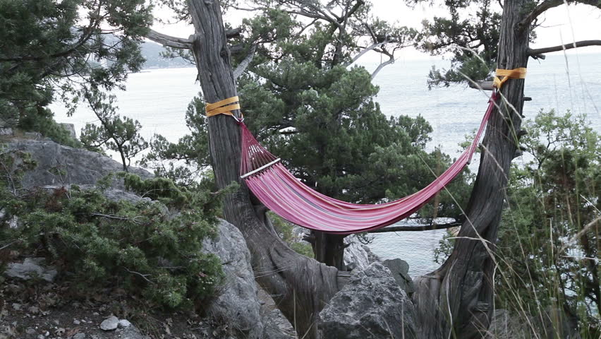 Hanging on a tree hammock by the sea