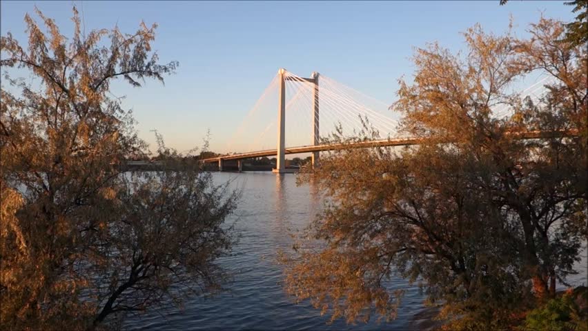 cable bridge over Columbia river through the trees