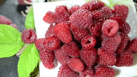Portion of fresh Raspberries (not loopable full HD video)