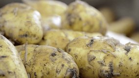 Potatoes (not loopable)