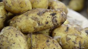 Heap of raw Potatoes (not loopable full HD video)