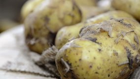 Portion of fresh raw Potatoes (loopable full HD video)