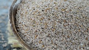 Portion of rotating Psyllium Seeds (not loopable full HD video)
