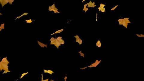 blowing leaves - looped and masked 3d animation