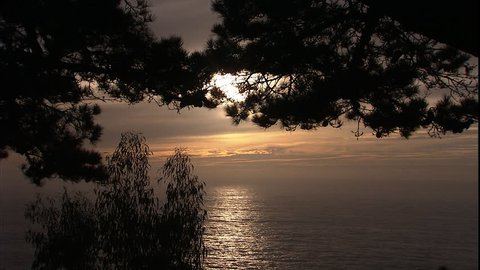 The sunset over the ocean as seen from behind a tree